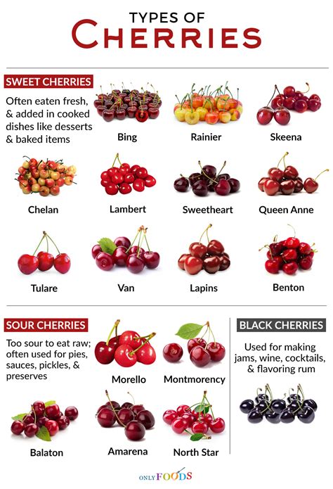 what cherries are most similar to rainier